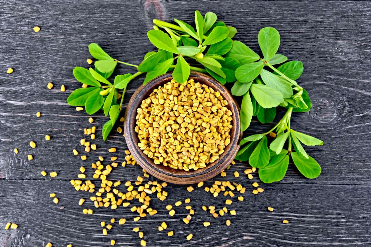 Breast Enhancement Herbs
